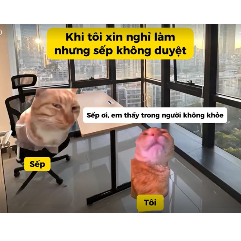 89+ Meme nghỉ việc hài hước cho dân công sở cực viral 18 Meme nghỉ việc vì bệnh