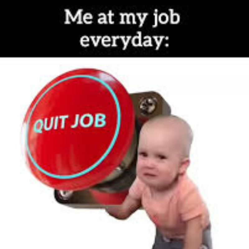 89+ Meme nghỉ việc hài hước cho dân công sở cực viral 22 Meme em bé quit job