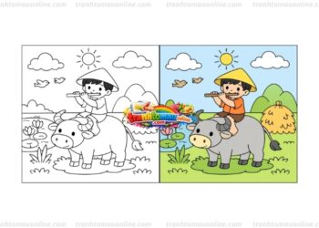 tô màu con trâu
