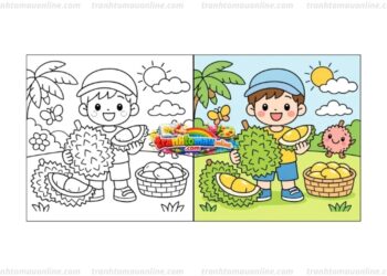 tranh tô màu quả sầu riêng