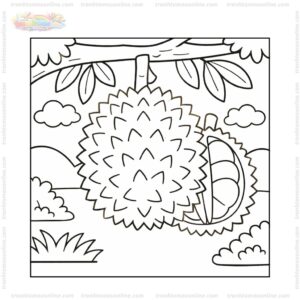 Tranh tô màu quả sầu riêng chín trên cây Tranh tô màu quả sầu riêng chín trên cây