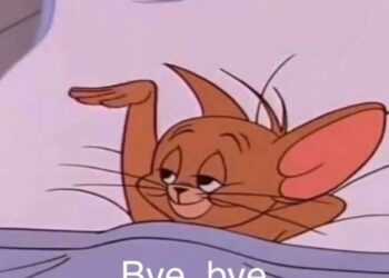 bye meme