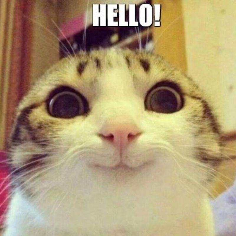 199+ ảnh hello meme hài hước, đáng yêu, hot trend gây bão mạng 2 Tìm hiểu Hello meme là gì?