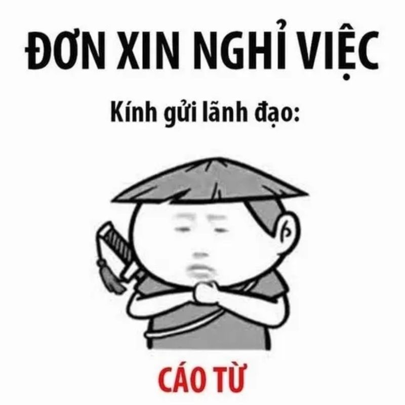 Sưu tầm 99+ meme cáo từ cực hài, cáo biệt theo kiểu giang hồ 3 Ảnh meme cáo từ nghỉ việc