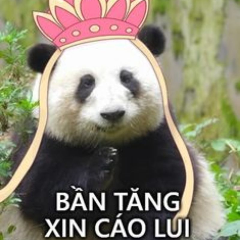 Sưu tầm 99+ meme cáo từ cực hài, cáo biệt theo kiểu giang hồ 13 Meme bần tăng xin cáo từ