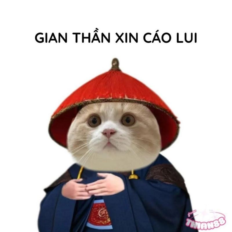 Sưu tầm 99+ meme cáo từ cực hài, cáo biệt theo kiểu giang hồ 14 Meme gian thần xin cáo từ