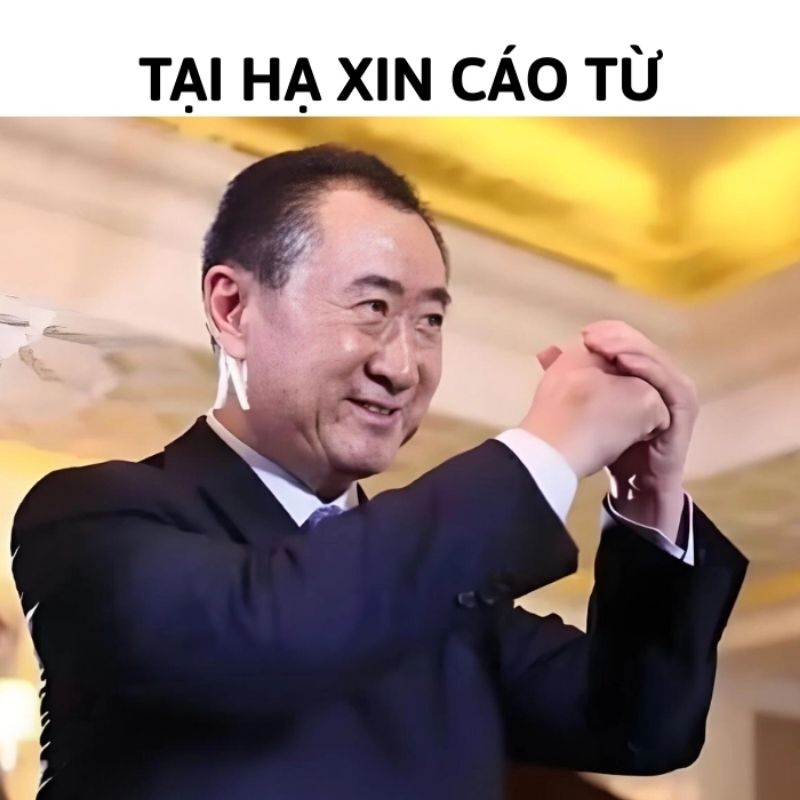Sưu tầm 99+ meme cáo từ cực hài, cáo biệt theo kiểu giang hồ 25 meme tại hạ xin cáo từ