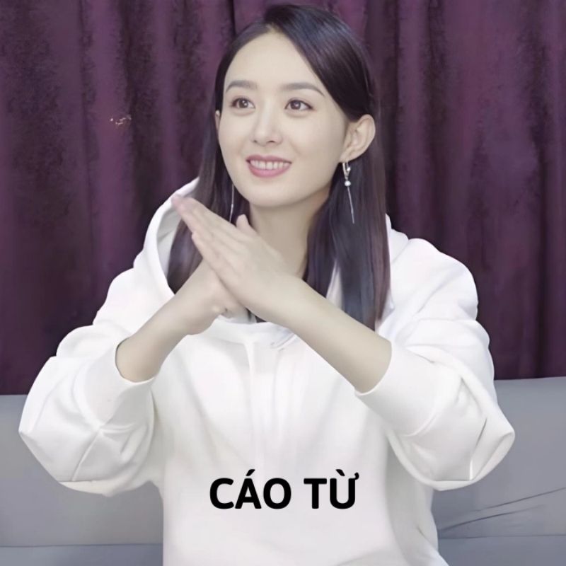 Sưu tầm 99+ meme cáo từ cực hài, cáo biệt theo kiểu giang hồ 31 meme cáo từ kiểu Trung