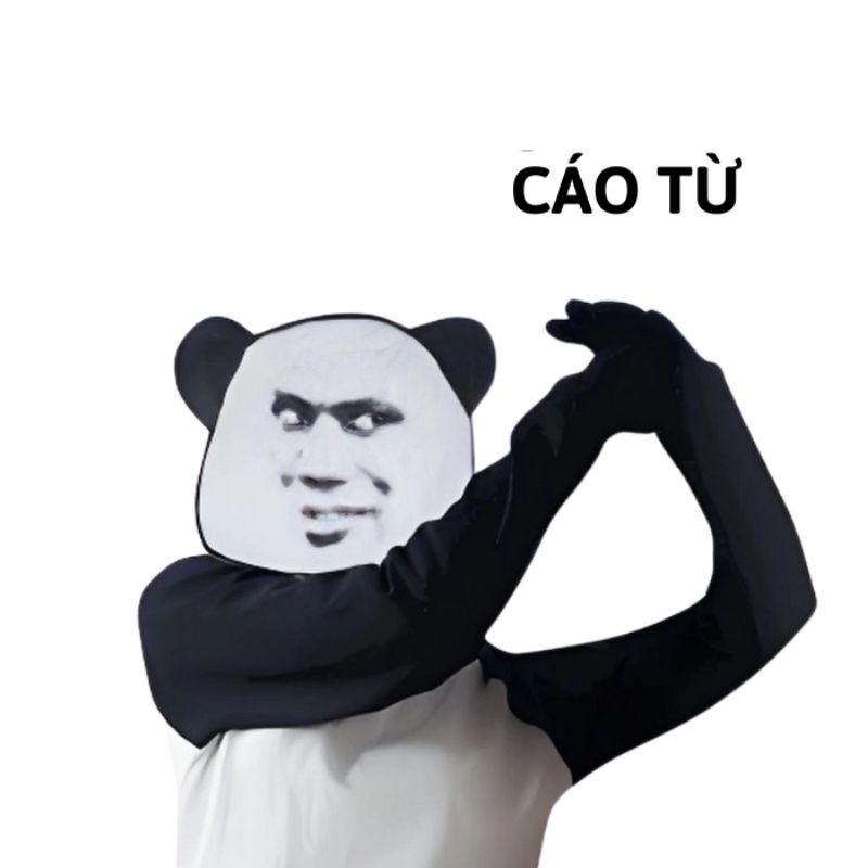 Sưu tầm 99+ meme cáo từ cực hài, cáo biệt theo kiểu giang hồ 36 meme cáo từ gấu trúc bá đạo