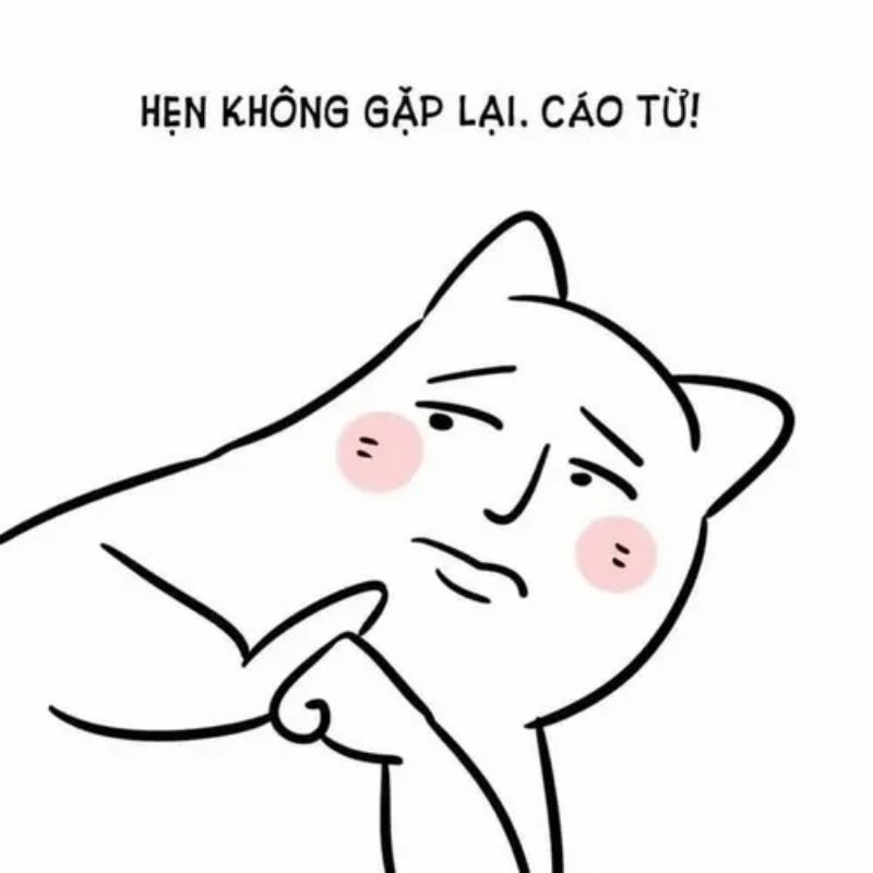 Sưu tầm 99+ meme cáo từ cực hài, cáo biệt theo kiểu giang hồ 37 meme cáo từ hài