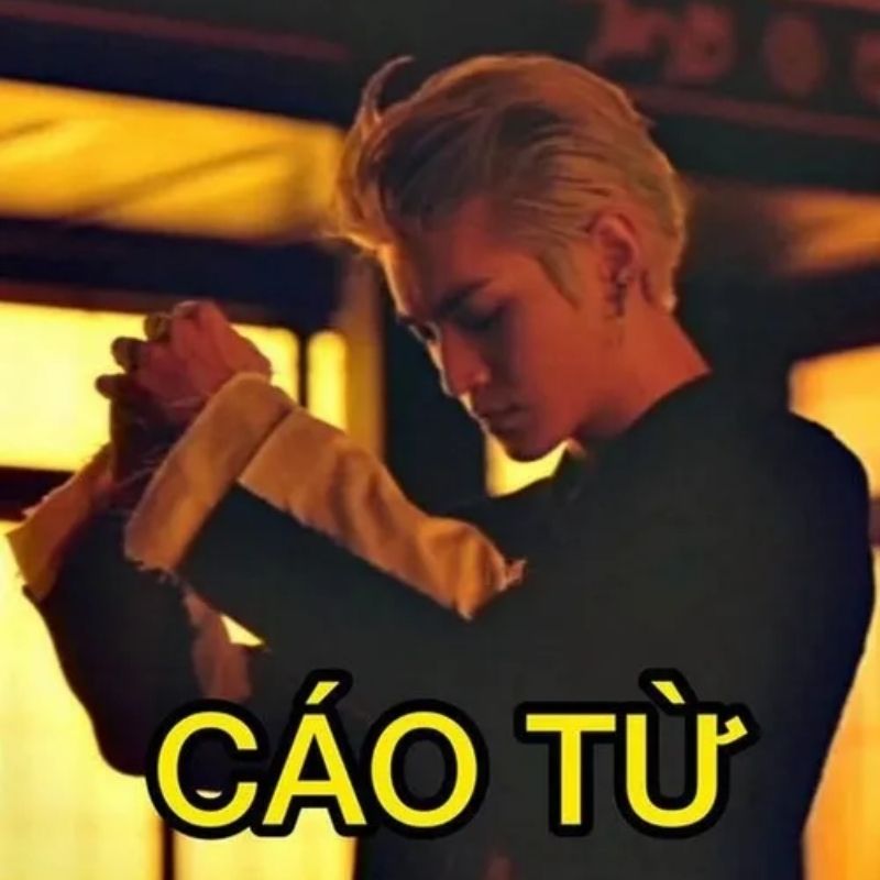 Sưu tầm 99+ meme cáo từ cực hài, cáo biệt theo kiểu giang hồ 44 meme cáo từ jack 97