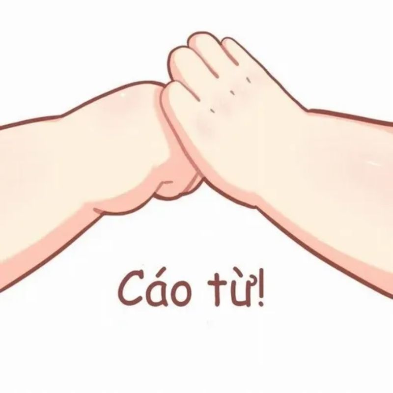 Sưu tầm 99+ meme cáo từ cực hài, cáo biệt theo kiểu giang hồ 59 meme cáo từ cute