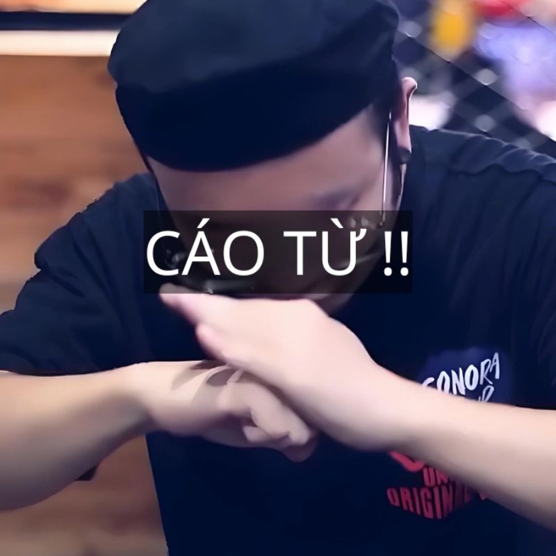 Sưu tầm 99+ meme cáo từ cực hài, cáo biệt theo kiểu giang hồ 2 meme cáo từ nghĩa là gì?