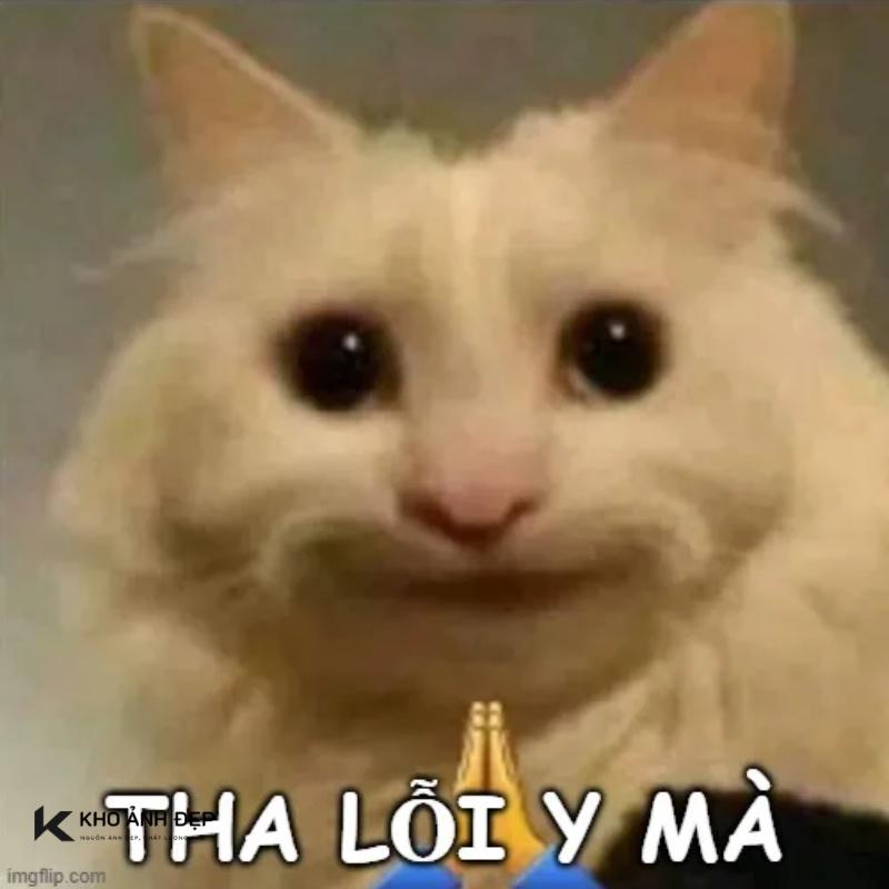 100+ meme lạy hài hước, cực bựa được dùng nhiều hiện nay 7 meme lay 10