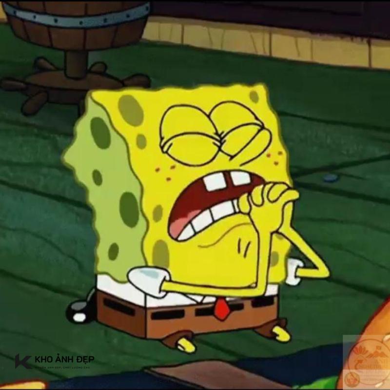 100+ meme lạy hài hước, cực bựa được dùng nhiều hiện nay 15 bọt biển quỳ lạy van xin