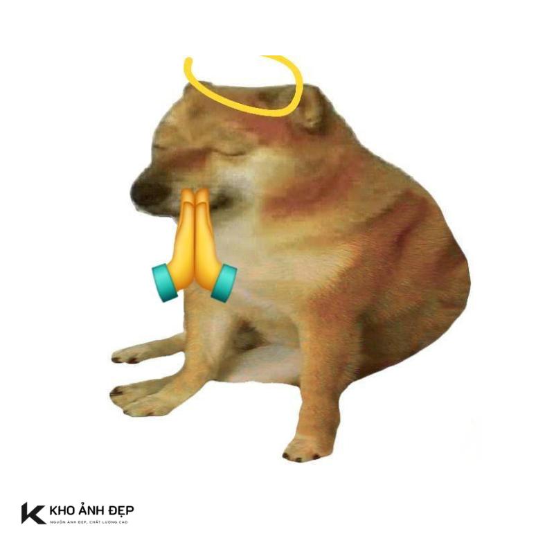 100+ meme lạy hài hước, cực bựa được dùng nhiều hiện nay 19 meme chó lạy