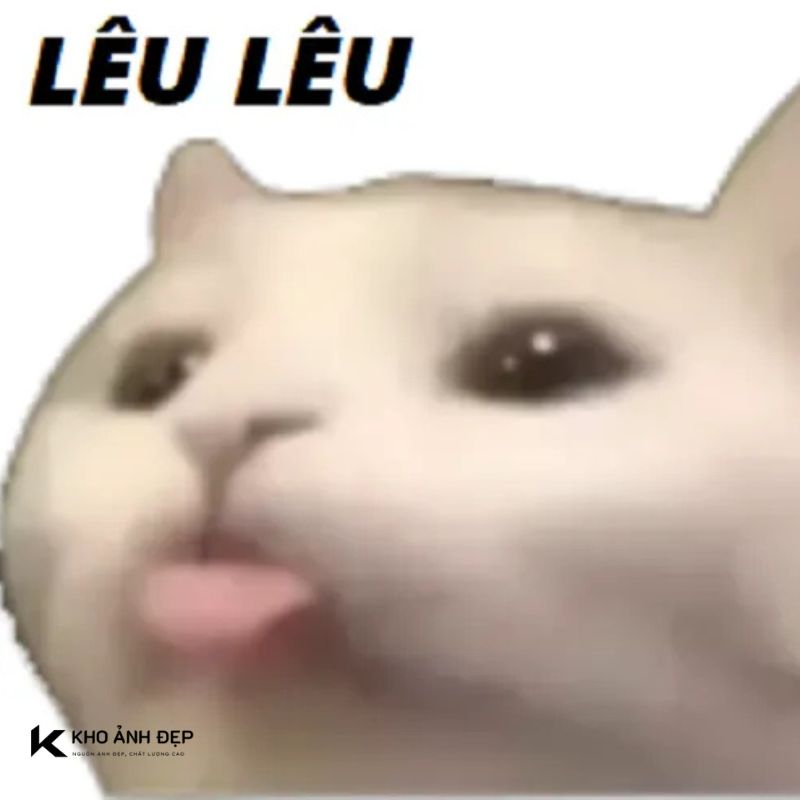 meme lêu lêu
