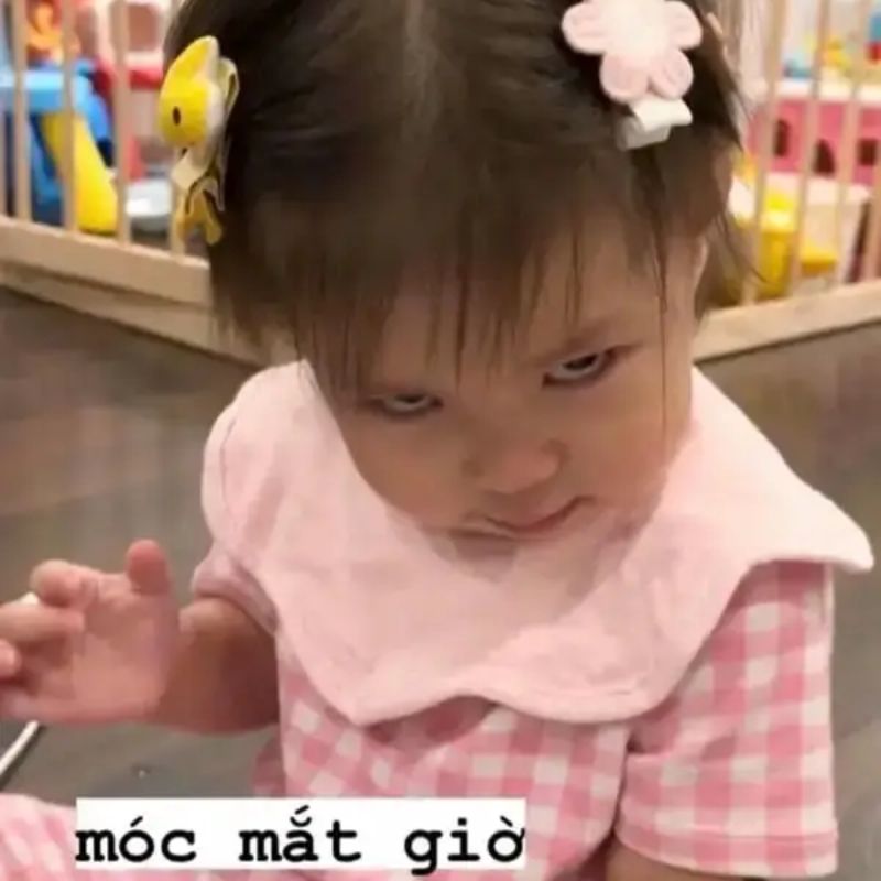 99+ Meme liếc mắt, liếc xéo, lườm cực hài hước, phán xét cực gắt 4 Meme Pam liếc mắt cute