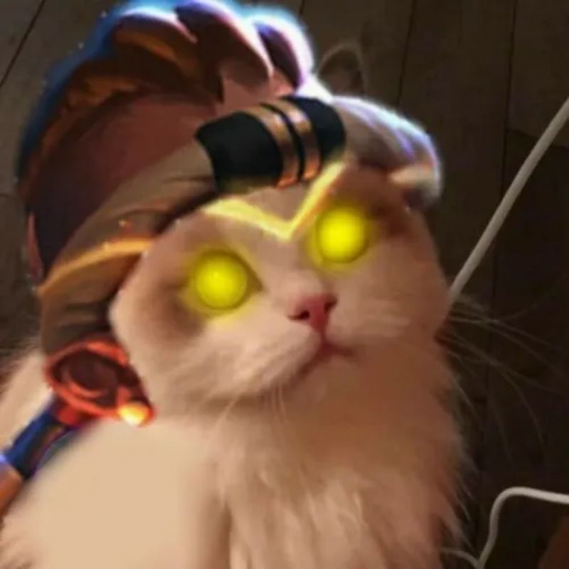 99+ meme liên quân hài hước, lầy lội cực hot 2026 18 meme mèo raz