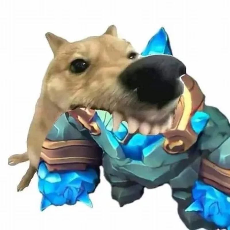 99+ meme liên quân hài hước, lầy lội cực hot 2026 24 meme cắn trộm bùa