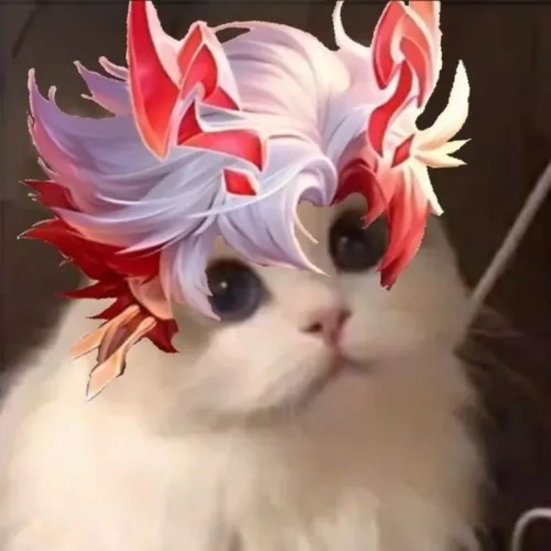 99+ meme liên quân hài hước, lầy lội cực hot 2026 23 meme mèo cosplay billow