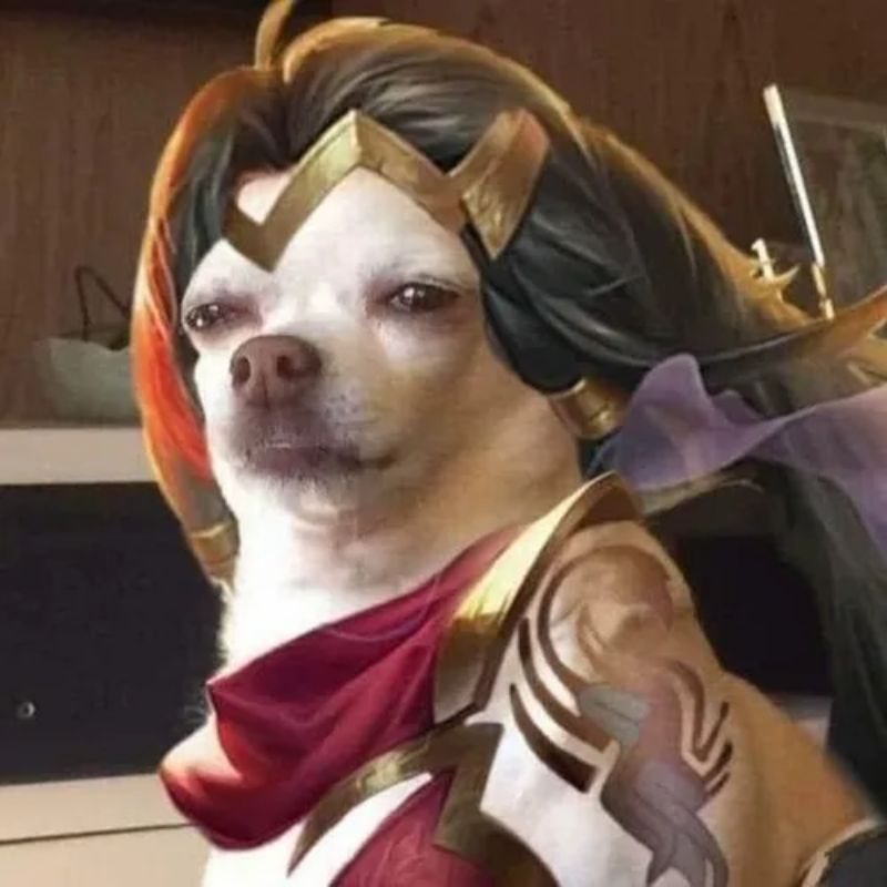 99+ meme liên quân hài hước, lầy lội cực hot 2026 21 meme yena hài hước