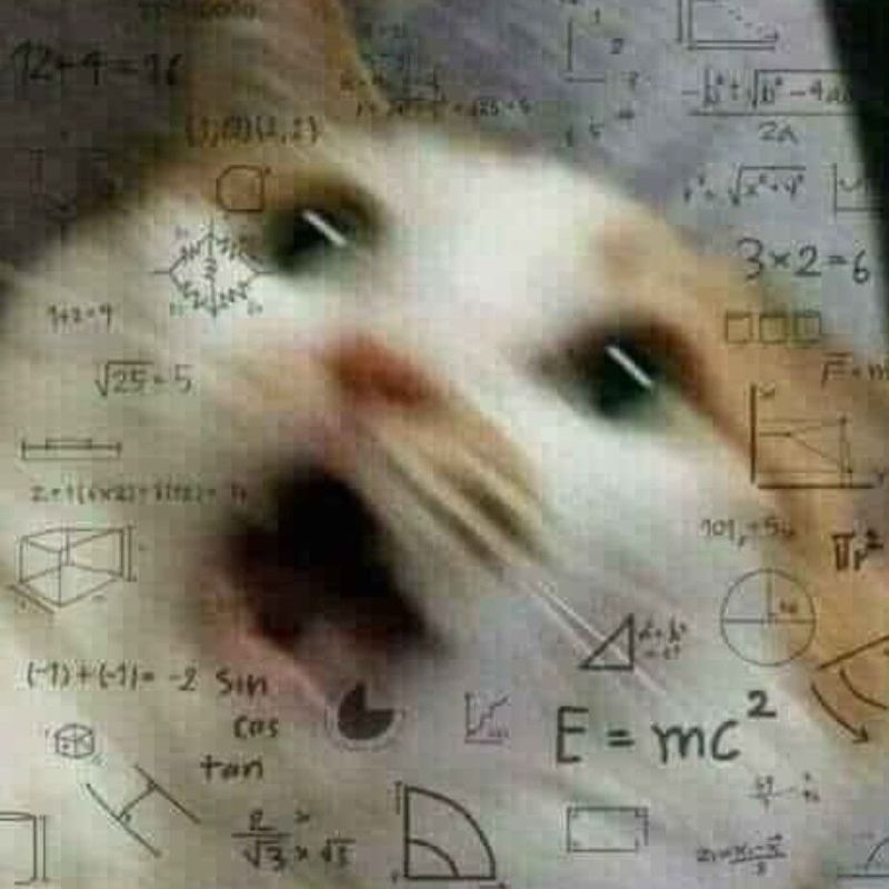 99+ meme math lady hài hước huyền thoại, suy luận cực viral 14 mèo hoang mang khi suy nghĩ
