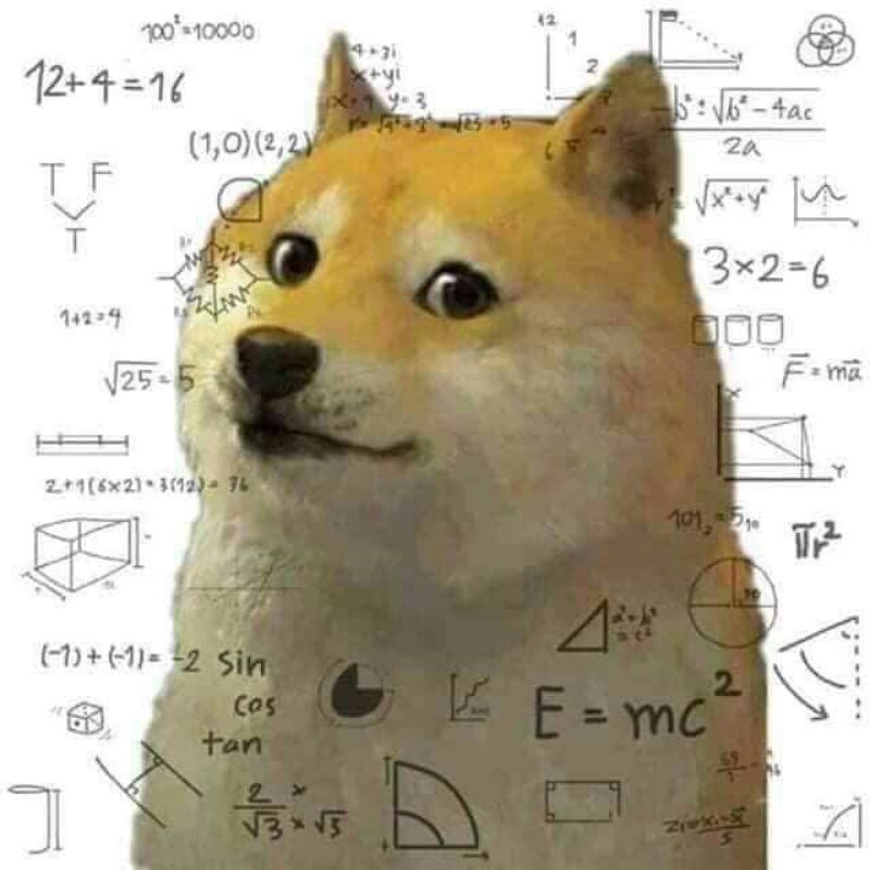 99+ meme math lady hài hước huyền thoại, suy luận cực viral 18 chó shiba meme math