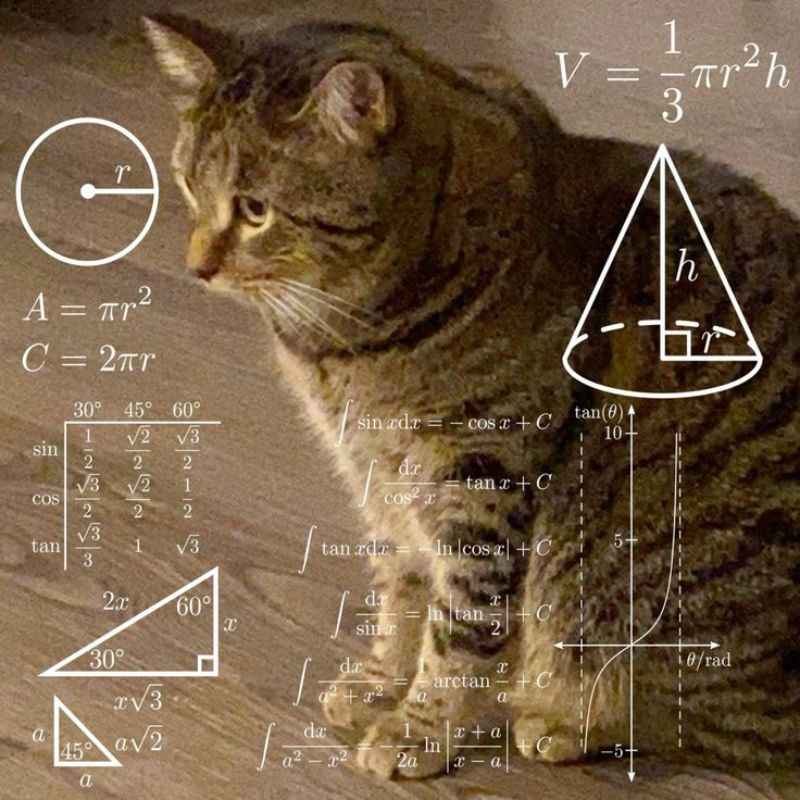 99+ meme math lady hài hước huyền thoại, suy luận cực viral 21 meme math moew