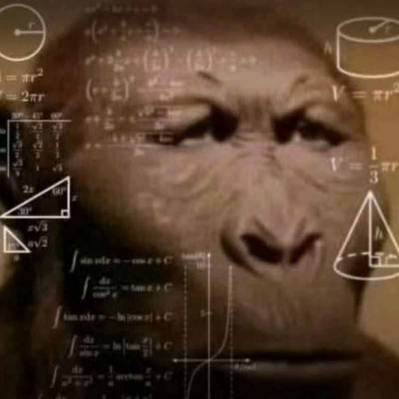 99+ meme math lady hài hước huyền thoại, suy luận cực viral 10 chú tinh tinh đang rối não