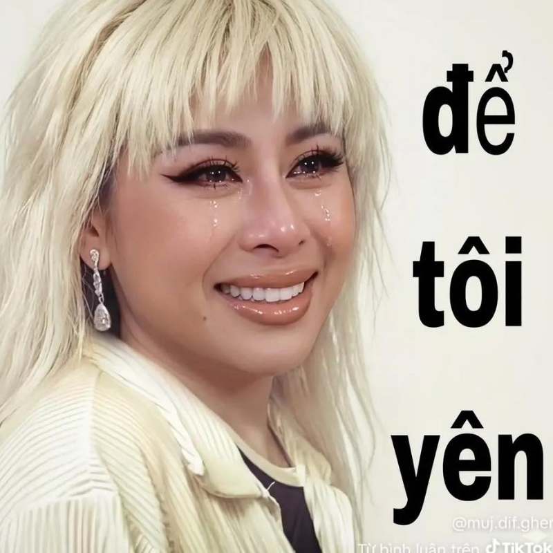 99+ ảnh meme Nam Thư với biểu cảm hài hước, cười ra nước mắt 7 Meme Nam Thư "Để tôi yên"