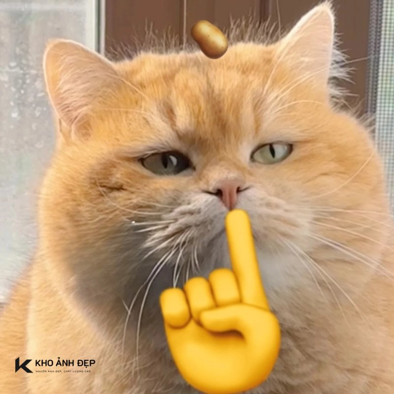 100+ Meme suỵt hài hước, phủ sóng mạng xã hội năm 2026