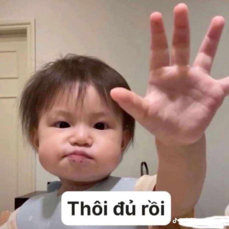  meme phải chịu