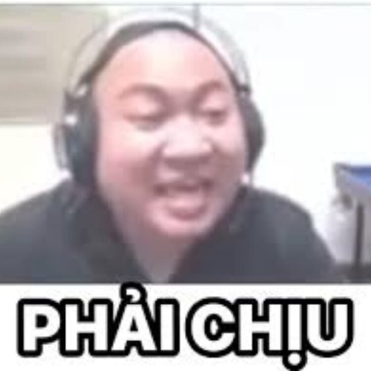 Ảnh chế meme phải chịu với biểu cảm cam chịu quen thuộc