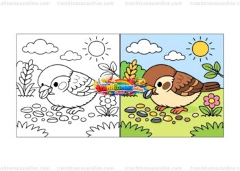 tô màu chim sẻ