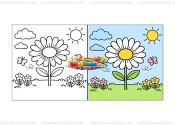 tô màu hoa cúc