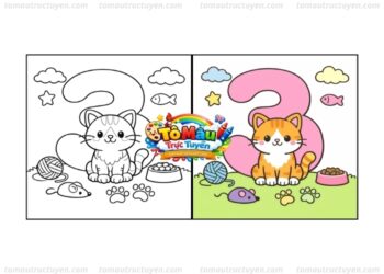 tô màu số 3