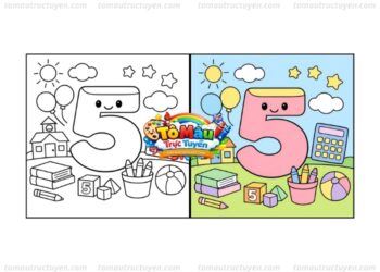 tô màu số 5