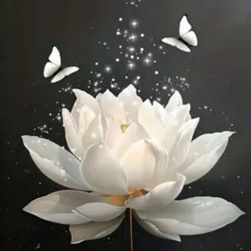ảnh hoa sen trắng đám tang
