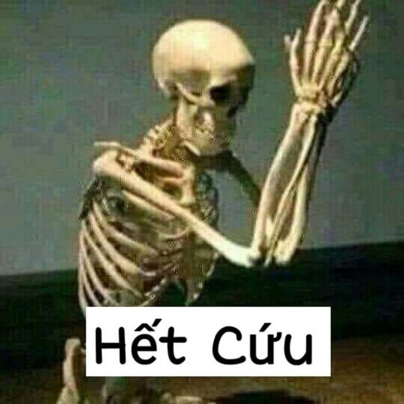 Bộ xương meme quỳ lậy hết cứu