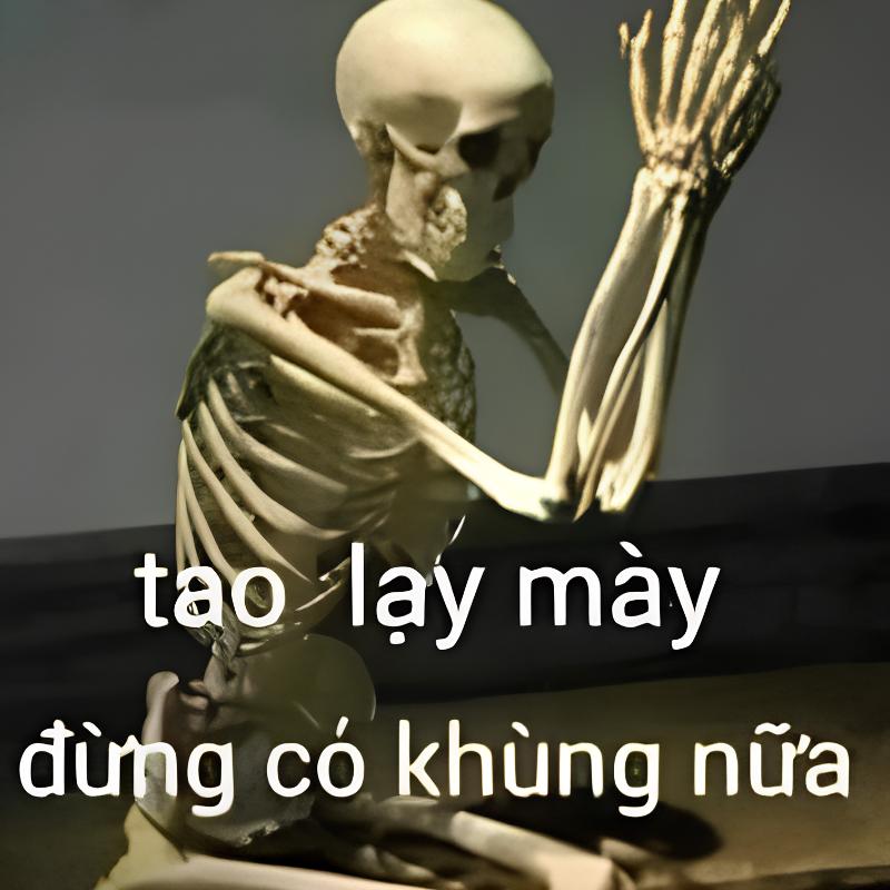 ảnh bộ xương quỳ lạy cầu xin mày đừng có khùng nữa