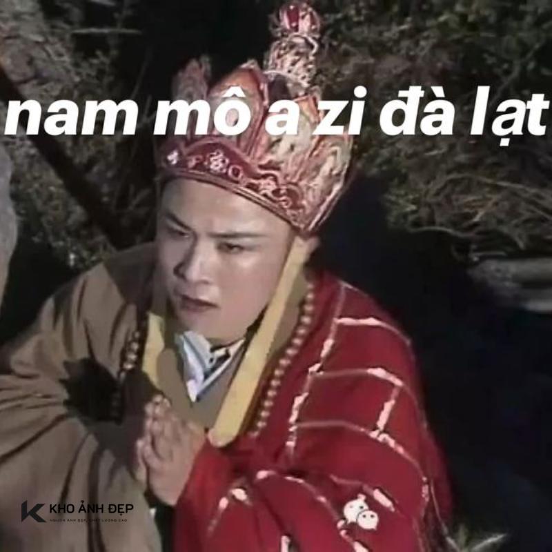 100+ Ảnh Đường Tăng meme cực kỳ "tấu hài" và “lầy lội” 21 Đường Tăng meme hài hước