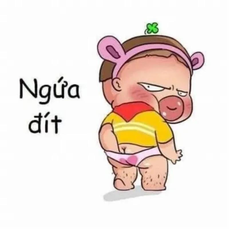 gãi mông meme hài hước