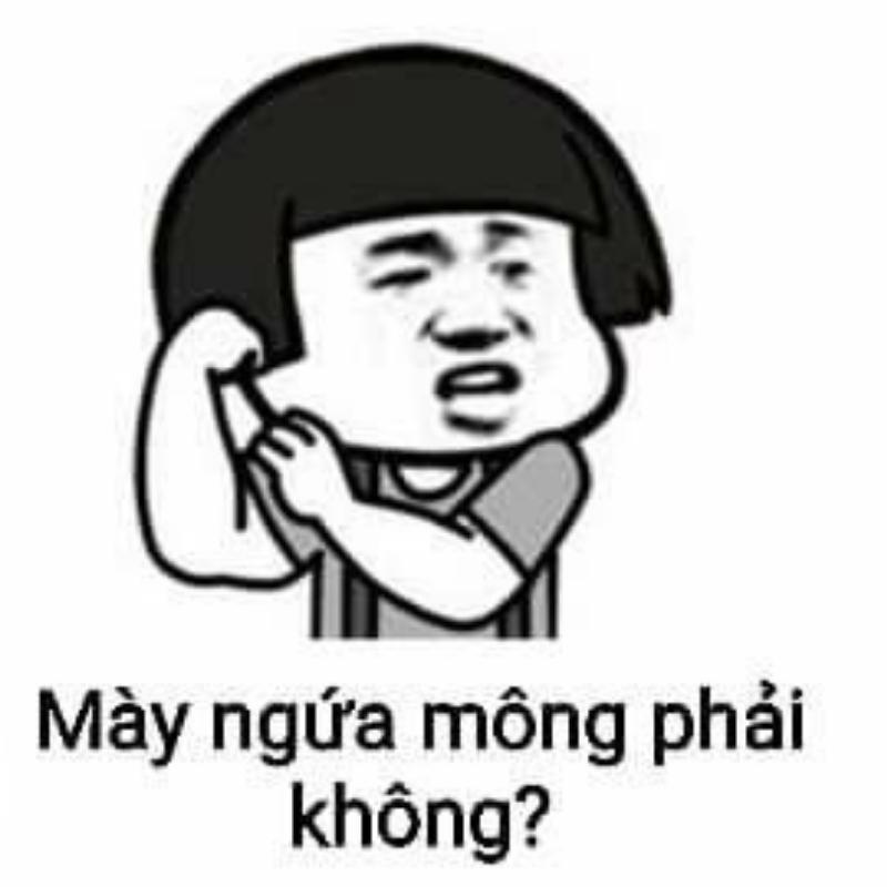 mày ngứa mông phải không