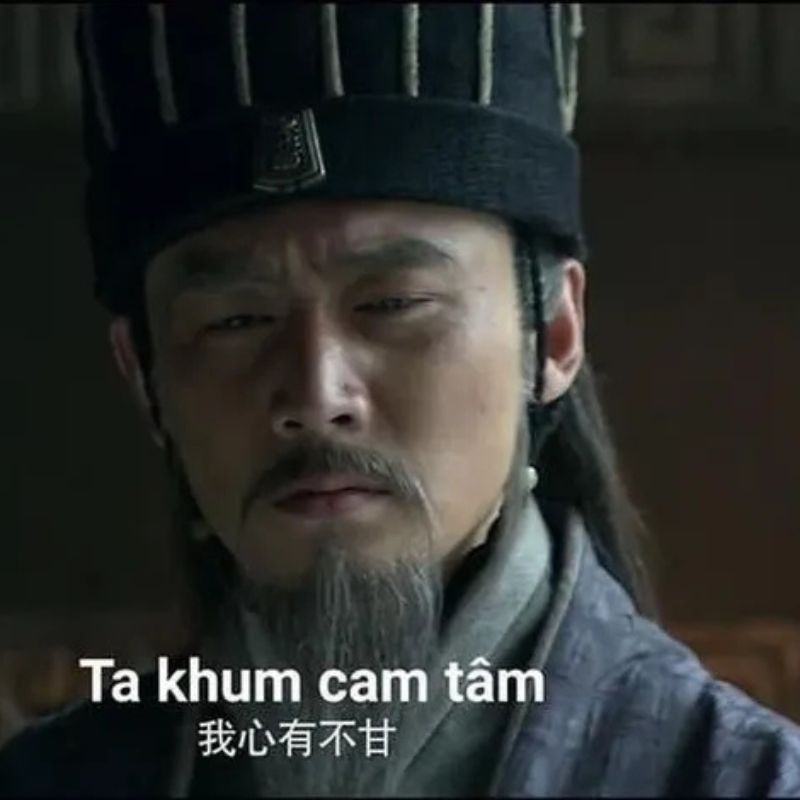 Ta khum cam tâm Gia Cát Lượng meme