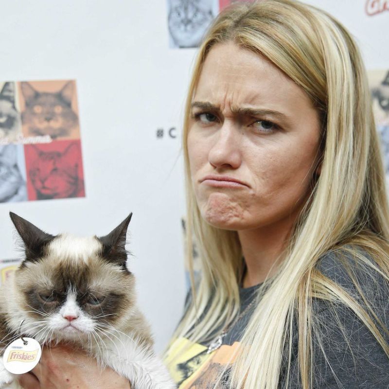 Grumpy Cat được quản lý bởi Ben Lashes sau khi nổi tiếng