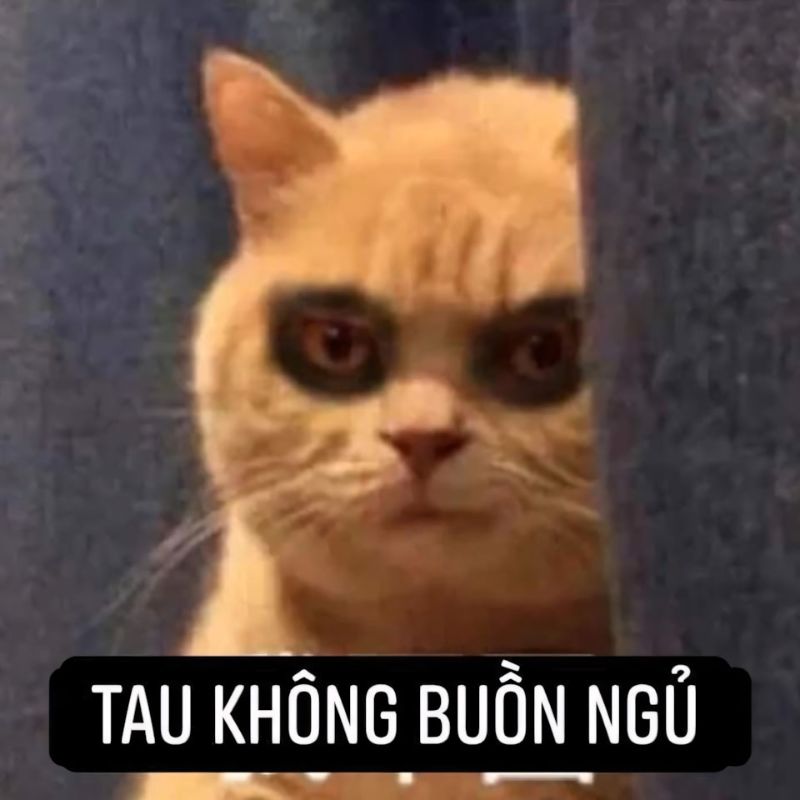 Caption cà khịa meme buồn ngủ hài hước
