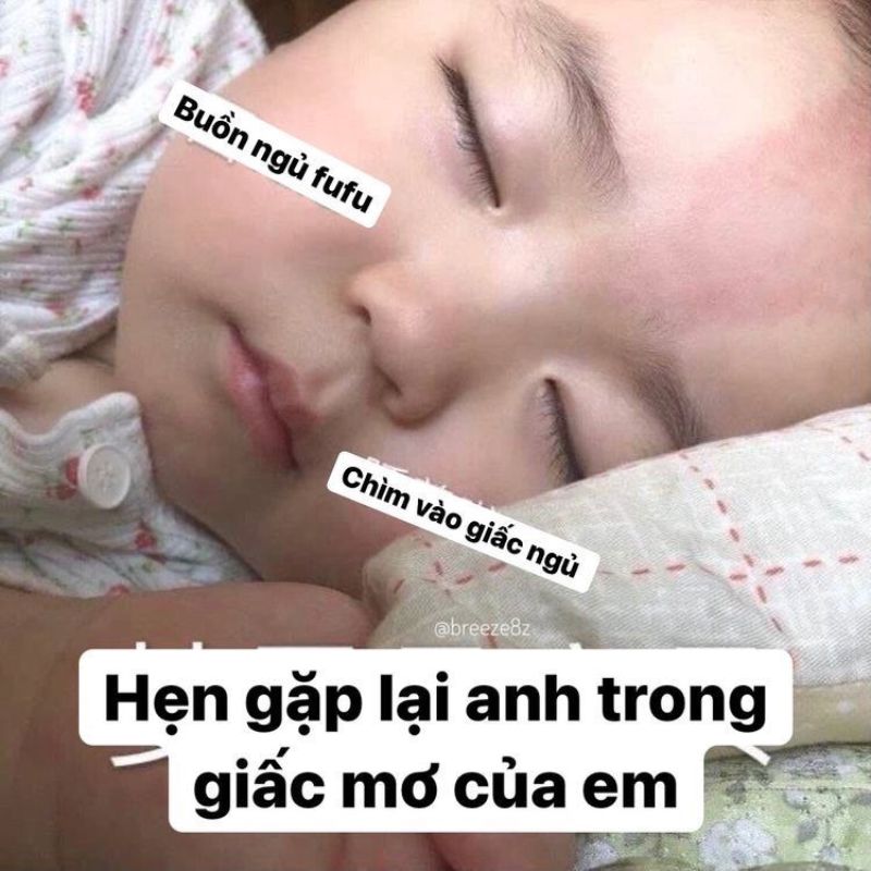 Meme em bé chìm vào giấc ngủ kèm caption hẹn gặp lại anh trong giấc mơ của em.