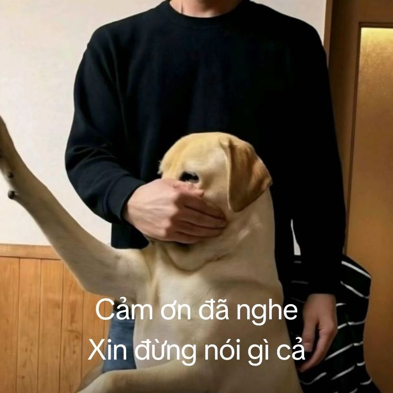 99+ meme cảm ơn đã lắng nghe hài hước cho slide kết thúc thuyết trình 11 meme cam on da lang nghe 11