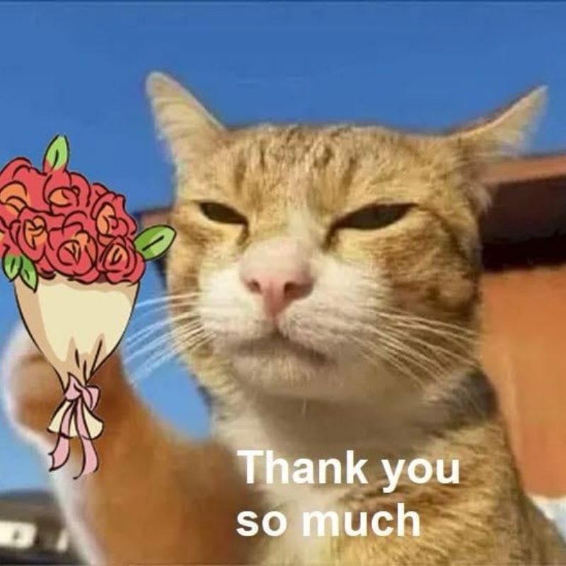 99+ meme cảm ơn đã lắng nghe hài hước cho slide kết thúc thuyết trình 16 meme cam on da lang nghe 16